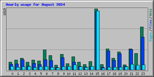 Hourly usage for August 2024