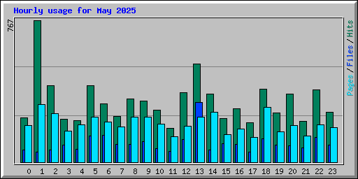 Hourly usage for May 2025