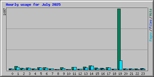 Hourly usage for July 2025