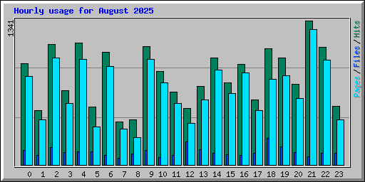 Hourly usage for August 2025