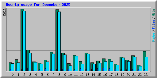 Hourly usage for December 2025