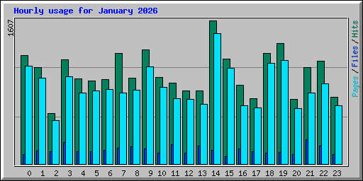 Hourly usage for January 2026