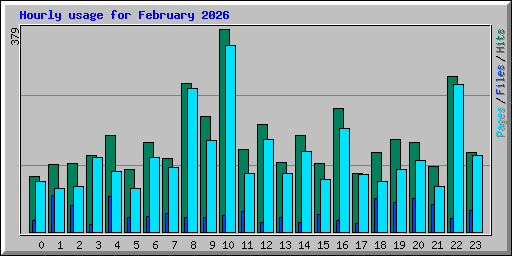 Hourly usage for February 2026