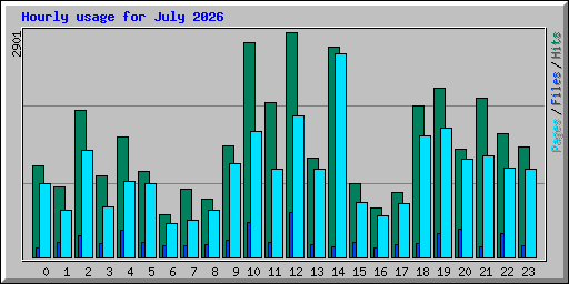 Hourly usage for July 2026
