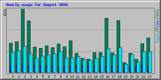 Hourly usage for August 2026
