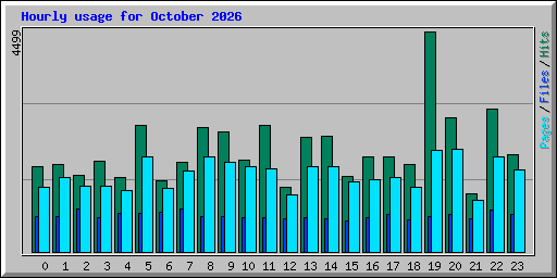 Hourly usage for October 2026