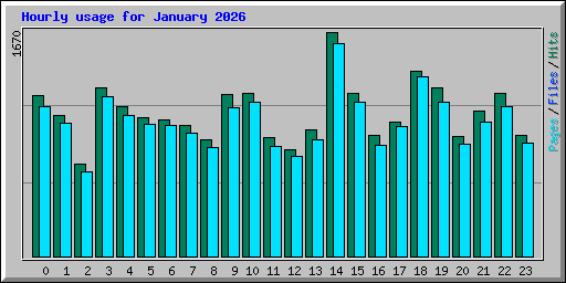 Hourly usage for January 2026