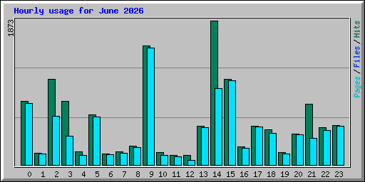 Hourly usage for June 2026