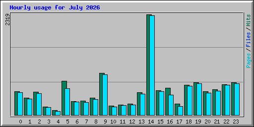 Hourly usage for July 2026